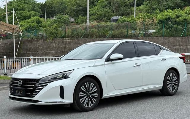 Tianlai 2024 2.0L XE True Heart