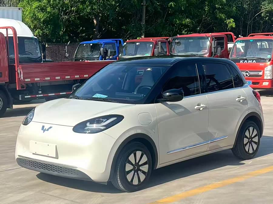 Wuling Bingo 2024 333km Enjoyment Version