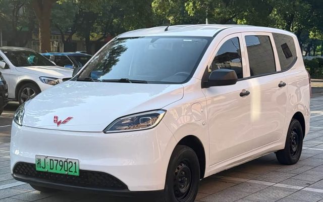 Wuling Hongguang New Energy 2024 300KM Practical