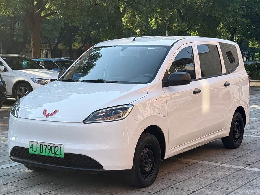 Wuling Hongguang New Energy 2024 300KM Practical