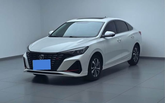 Yidong 2023 Enjoy Version PLUS Blue Whale NE 1.4T GDI DCT Premium