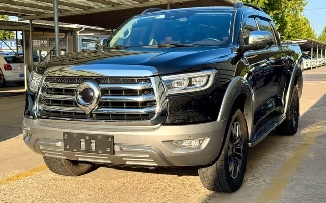 2021 2.0T Passenger Global Edition Auto Diesel 4WD Luxury Standard Box GW4D20M