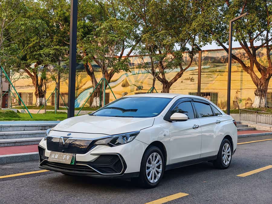 2022 D60EV Standard Range Comfort