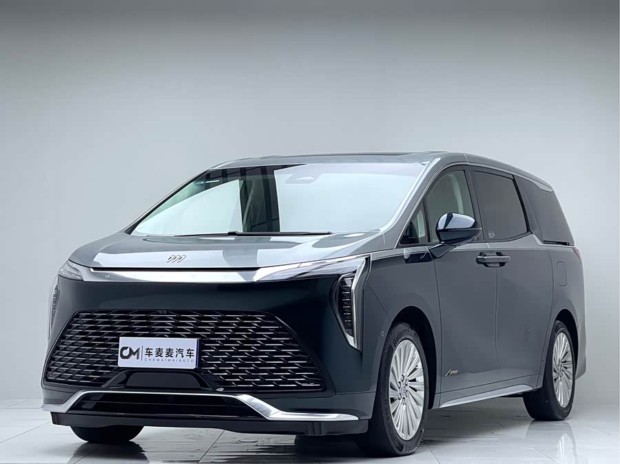 2023 2.0T 4-Seater Private Edition Co-branded High-end Series Ju Manqiu