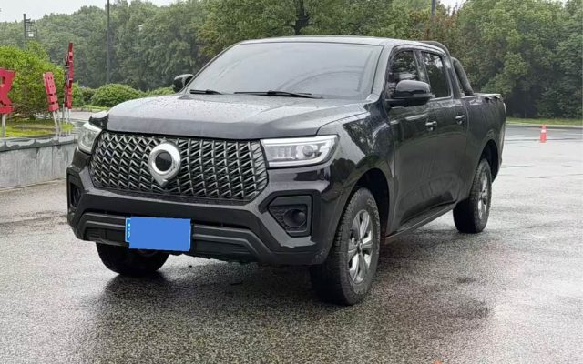 2023 2.0T Commercial Version Automatic Gasoline Four-Wheel Drive Elite Long Box GW4C20B