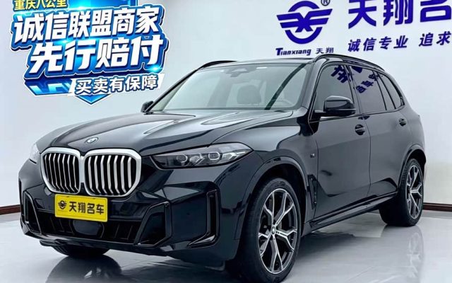 BMW X5 2023 xDrive 30Li Luxury M Sport Night Package
