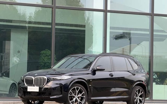 BMW X5 2023 xDrive 30Li Luxury M Sport Night Package