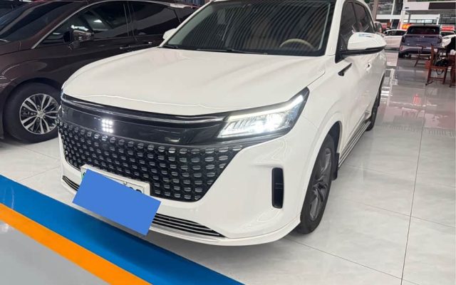 Blue Electric E5 2023 1.5L DE-i 100KM Enjoy 7-seater