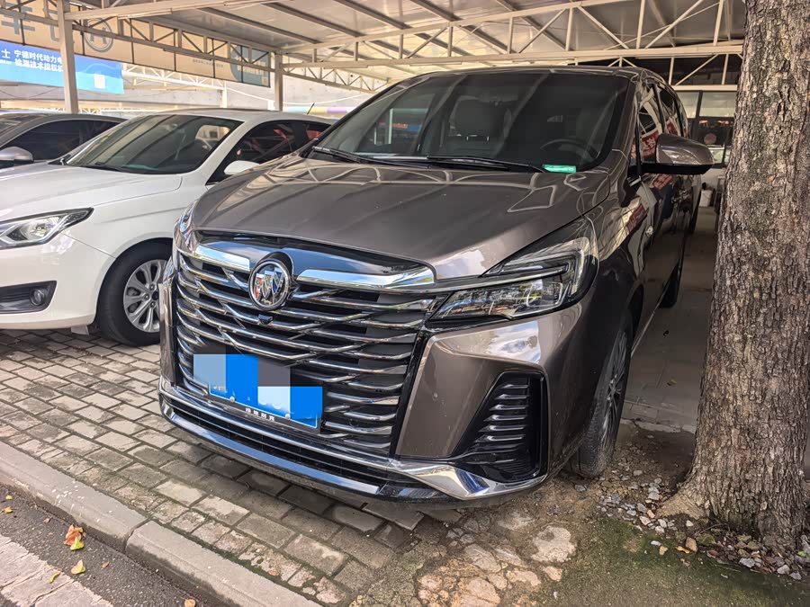 Buick GL8 2023 Land Business Class 652T Luxury