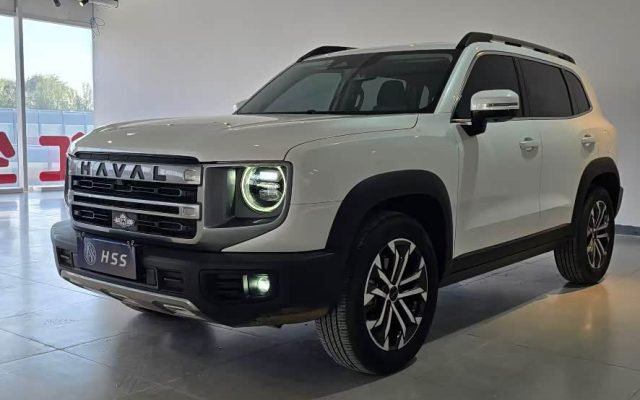 Great Wall Dog 2024 1.5T DCT Border Collie