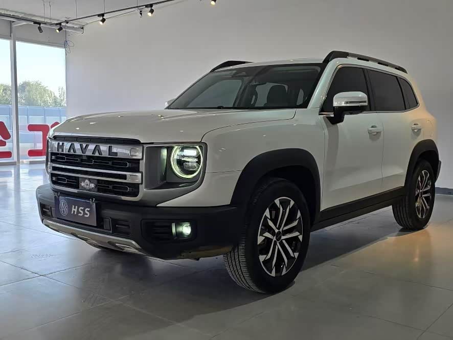 Great Wall Dog 2024 1.5T DCT Border Collie