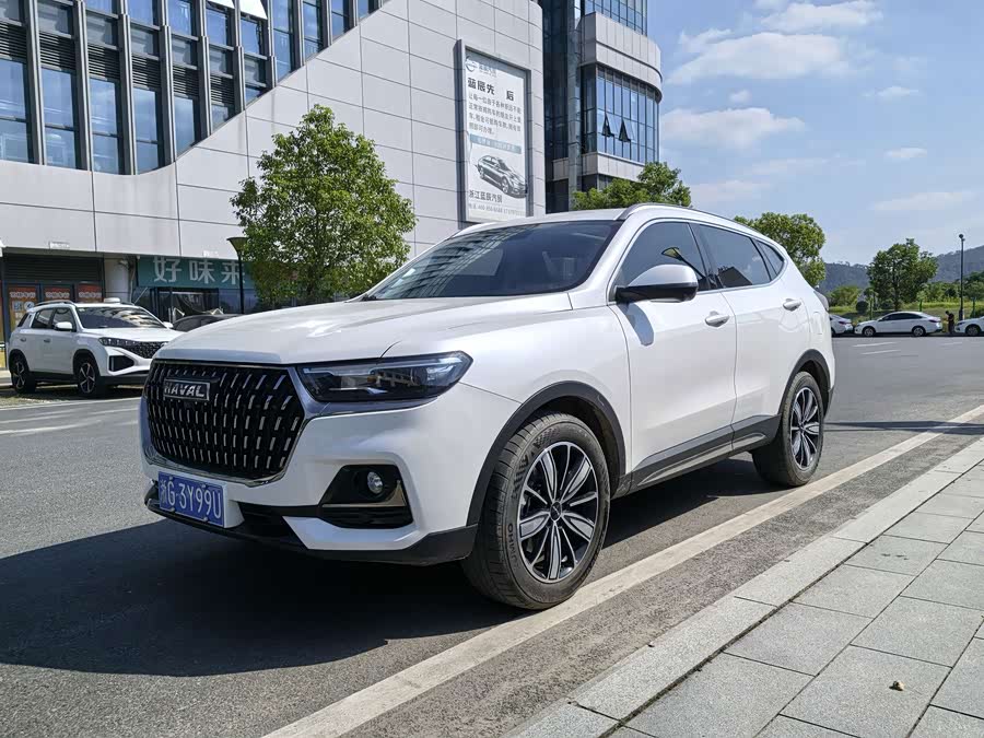 Haval H6 2023 National Trend 1.5T Auto Champion