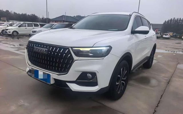 Haval H6 2023 National Trend Edition 1.5T Automatic Urban Version