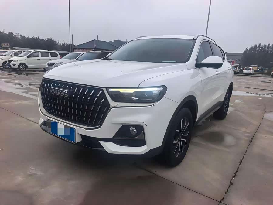 Haval H6 2023 National Trend Edition 1.5T Automatic Urban Version