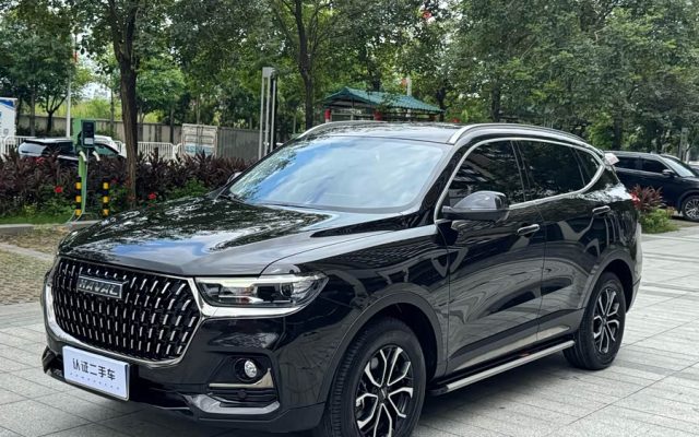 Haval H6 2023 National Trend Edition 1.5T Automatic Urban Version