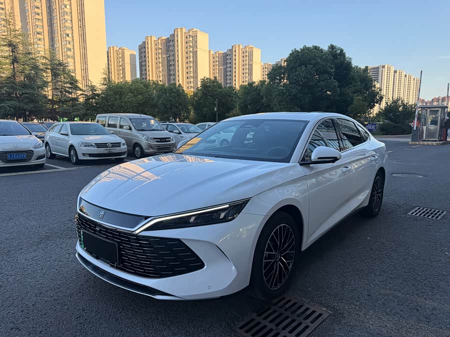 Qin L 2024 DM-i 120KM Excellence