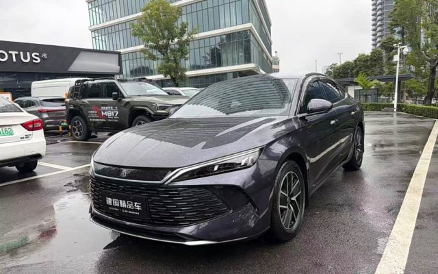 Qin L 2024 DM-i 120KM Leading