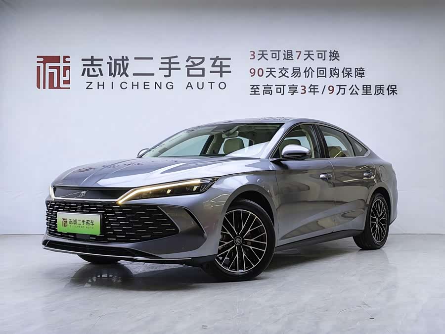 Qin L 2024 DM-i 120KM Super