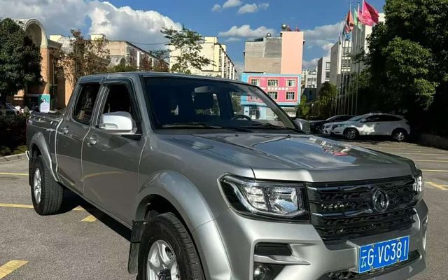 Ruiqi 2025 2.4T Diesel 4WD Entrepreneur Version Long Cargo Box