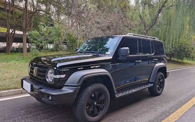 Tank 300 2023 Off-road 2.0T Conqueror