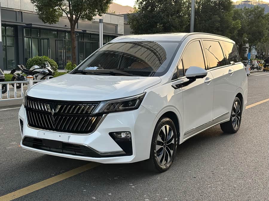 Wuling Jiachen 2023 2.0L DHT Flagship