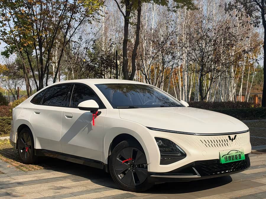 Wuling Xingguang 2024 Co-Creation Edition 150 Standard