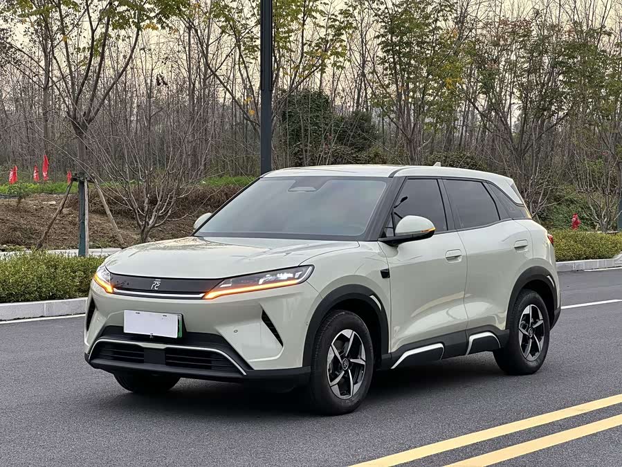 Yuan UP 2025 Smart Driving 401KM Leading